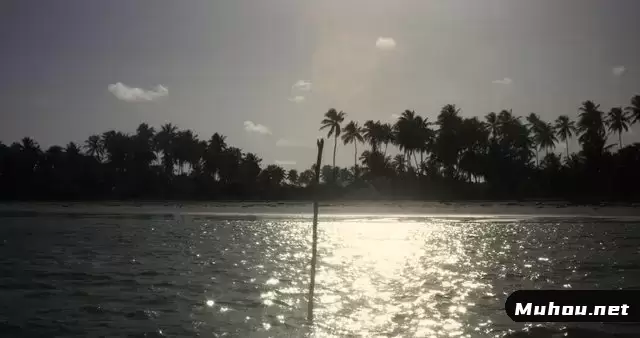 缩略图太阳反射在海水上视频素材