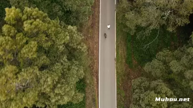在森林中的道路上骑滑板的朋友视频素材