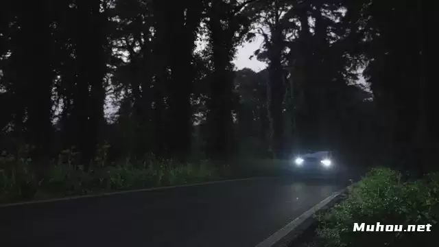 在黑暗树林中行驶的电动汽车视频素材