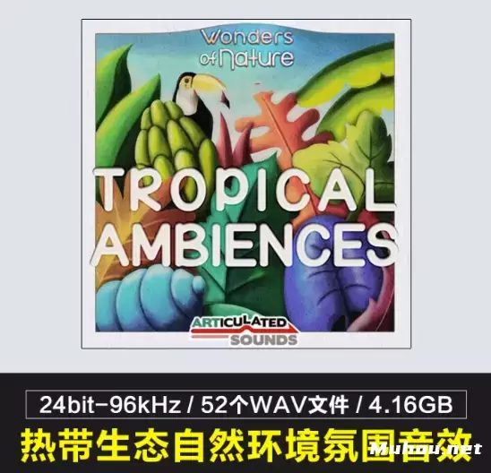 Articulated Sounds Tropical Ambiences 52组热带雨林森林音效声音素材