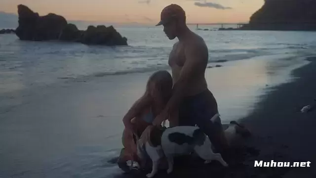 一对夫妇在海滩上抚摸他们的狗视频素材