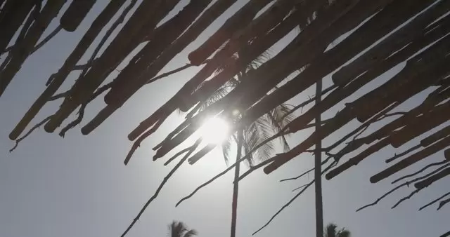 阳光透过竹制屋顶反射视频素材