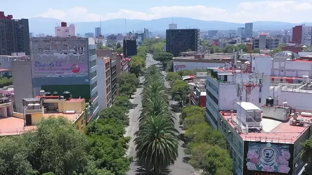 墨西哥城的棕榈树城市航拍视频素材