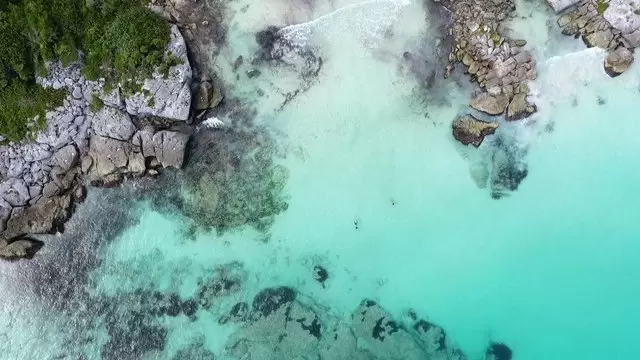 在海洋中游泳的人航拍视频素材