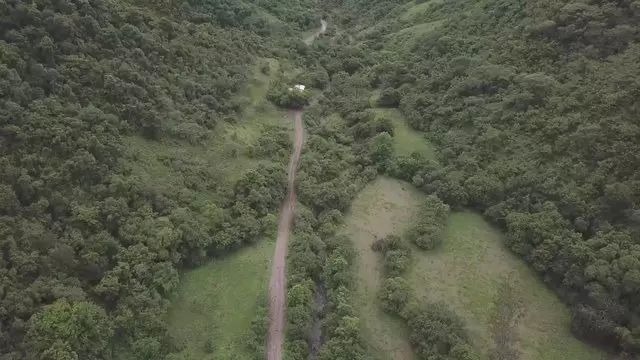 阿根廷绿山之间的小径航拍视频素材