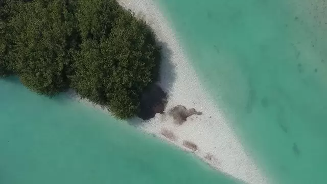 海洋中央的土地航拍岛屿视频素材