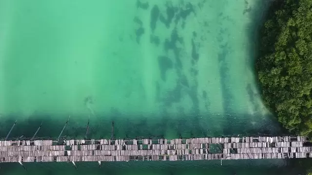缩略图海洋上的木质桥梁绿色水面航拍视频素材