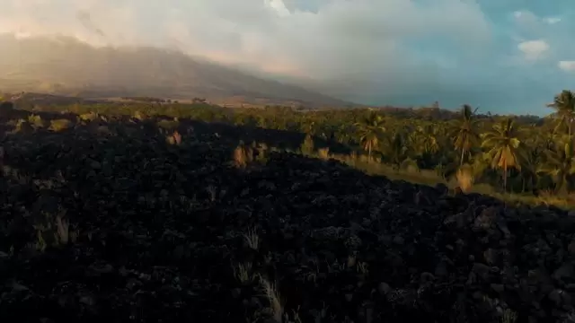 火山和棕榈树航拍视频素材