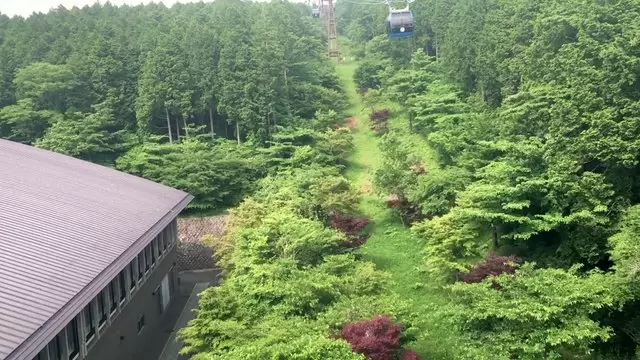 缩略图绿色森林覆盖的楼房航拍视频素材