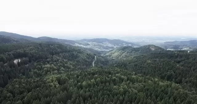 山上的树木森林航拍视频素材
