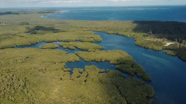 绿色岛屿平静的湿地航拍视频素材
