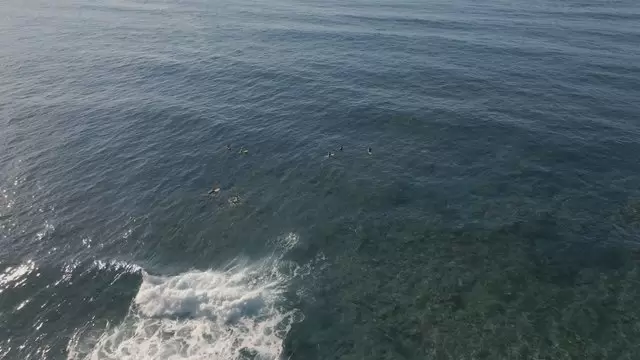 缩略图乘着海浪的冲浪者航拍视频素材