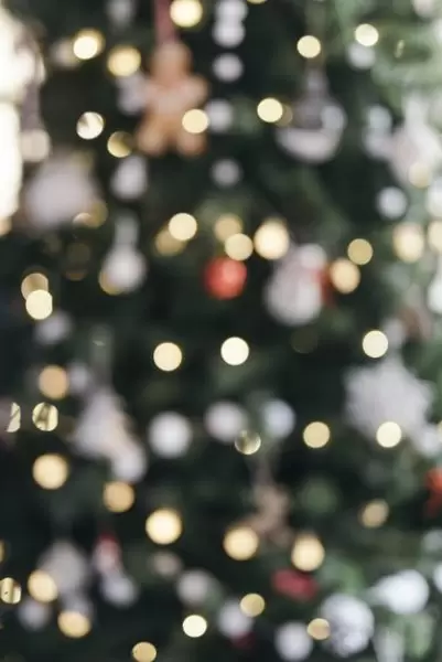 缩略图灯光模糊的圣诞树背景[JPG]下载