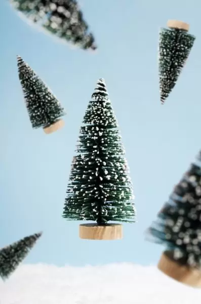 缩略图圣诞树装饰的正面视图[JPG]下载