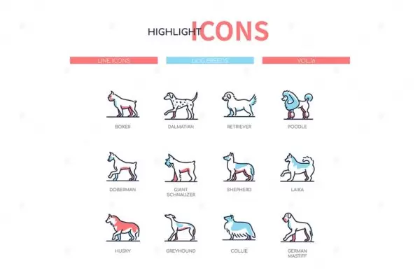 ICONS | 矢量现代线条设计风格宠物狗类雪纳瑞贵宾犬猎犬牧羊犬莱卡图标下载