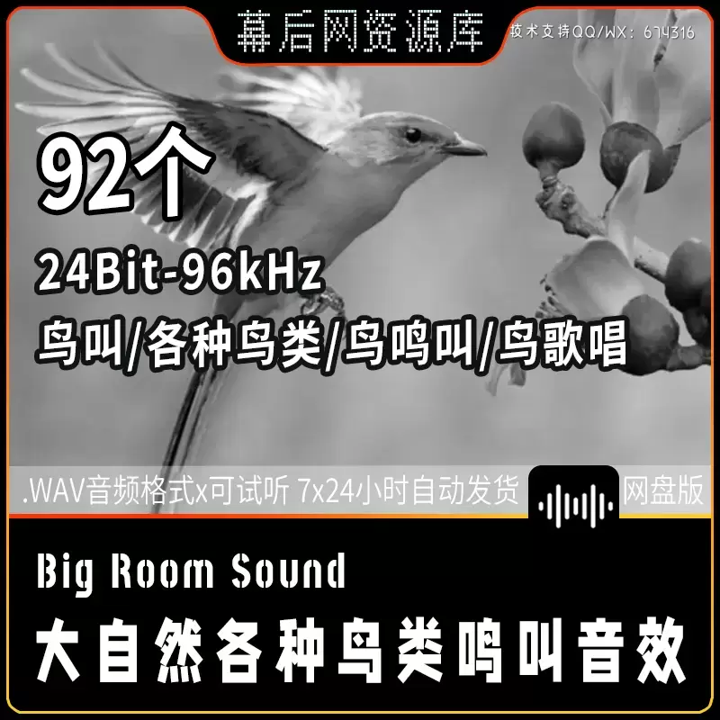 音频-大自然各种鸟类鸣叫唱歌音效Big Room Sound Birds And Nature