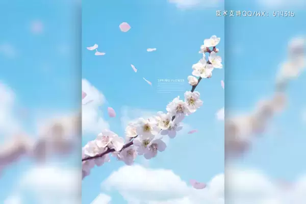 白色蓝天春季樱花手机壁纸背景素材 (psd)下载