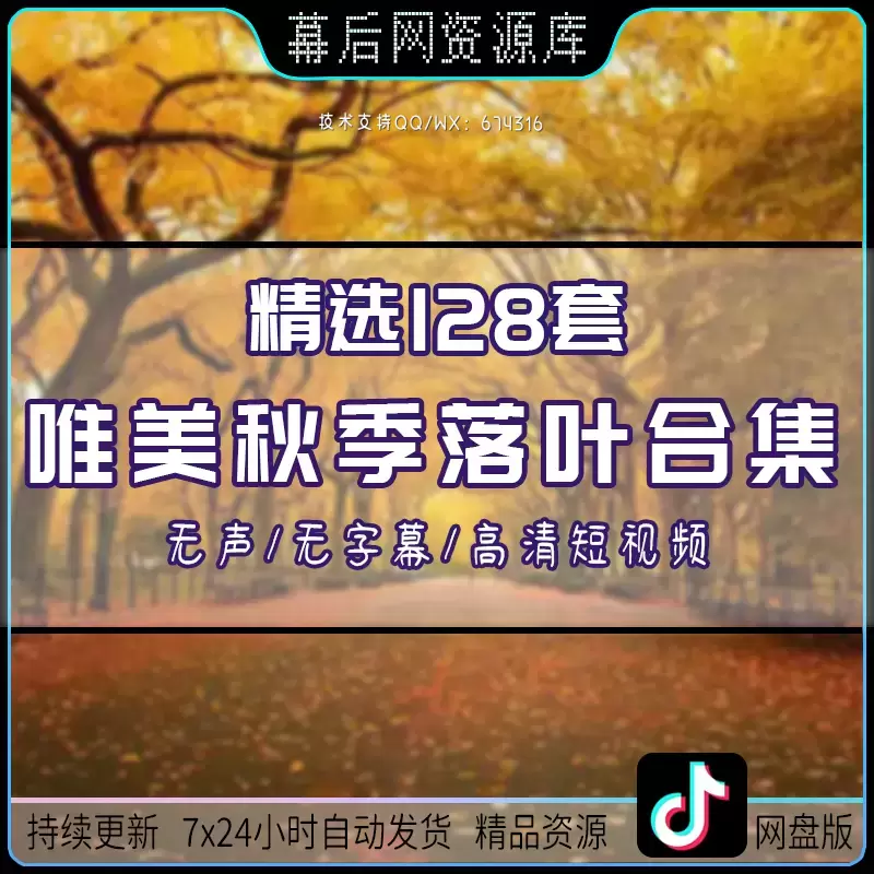 128+vlog唯美秋季秋天风景落叶短视频素材打包