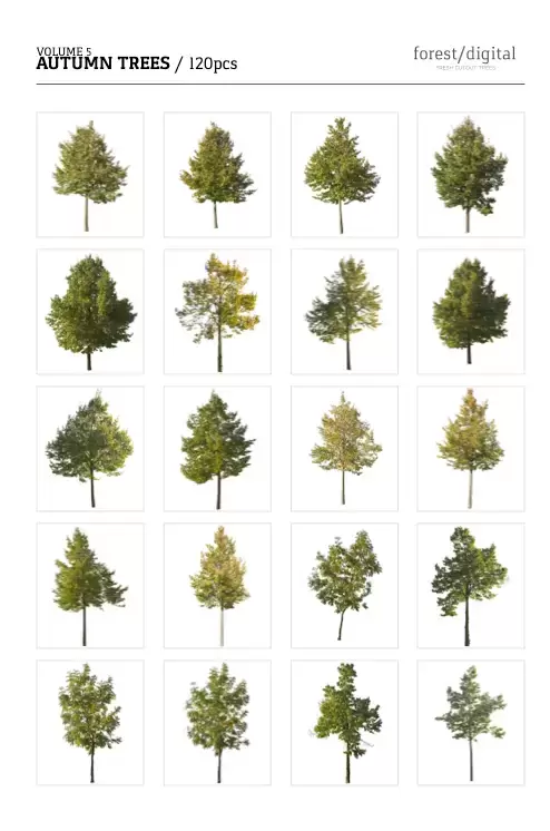 高清PNG素材秋季树木ForestDigital vol. 5插图7