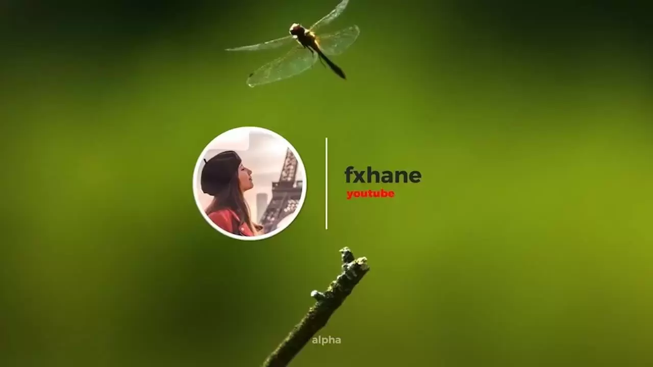 迷你动画的企业LOGO标志AE模板视频下载