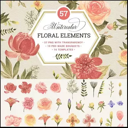 缩略图57个手绘水彩花卉和叶子PNG免抠图素材