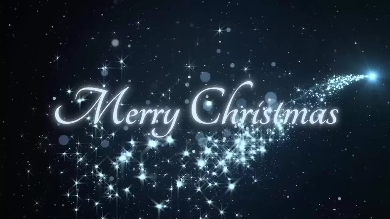 闪烁的颗粒和优雅的文字动画pr模板视频下载(含音频)插图