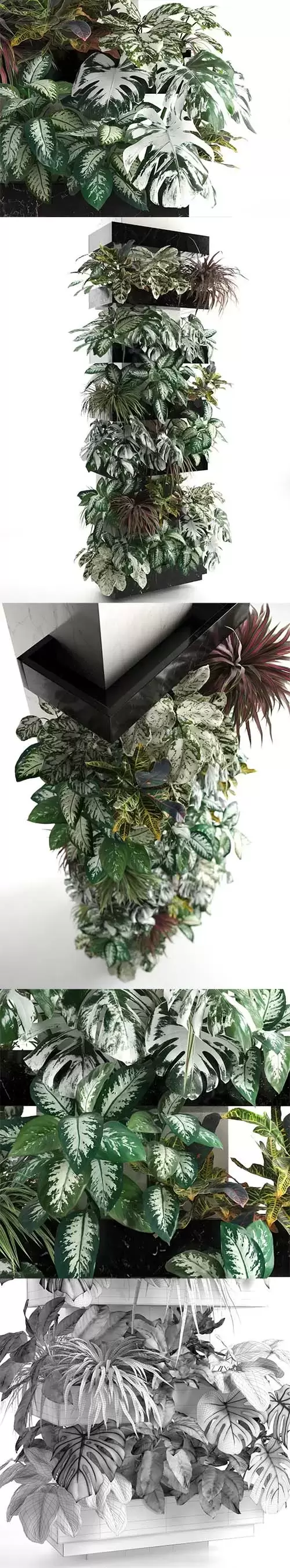 方柱与植物墙面绿植装饰3D模型下载 (MAX,FBX,OBJ,C4D)下载