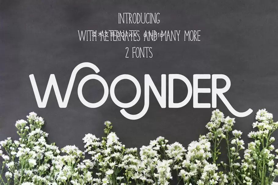 个性设计字体 Woonder [2 Font] Pro下载