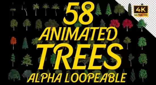 58个植物树木循环动画视频素材 Animated Trees Alpha Loop Pack 4K