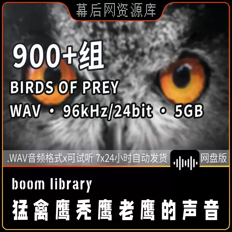 缩略图900个Birds Of Prey鹰乌鸦鹦鹉等大型鸟类猛禽5GB音效