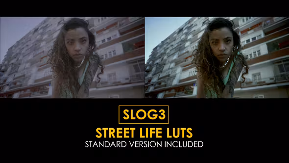 Slog3街头生活和标准颜色lutFCPX模板Slog3 Street Life and Standard Color LUTs插图