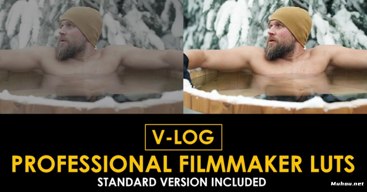 V-log专业电影制作人和标准lut视频调色模板V-Log Professional Filmmaker and Standard LUTs