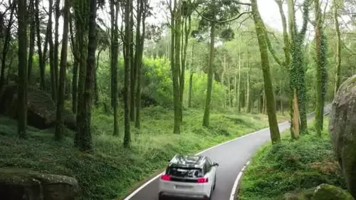 一辆汽车在树林里的道路上行驶的无人机镜头视频下载Drone Footage of a Car Driving Along a Road in the Woods