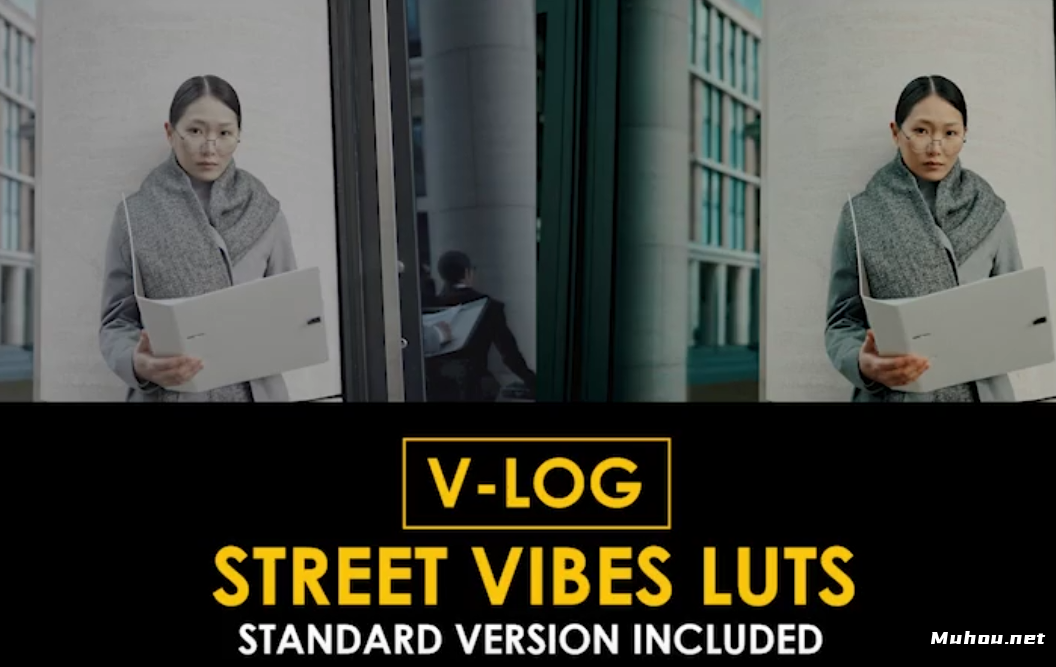 标准颜色lut视频调色模板V-Log Street Vibes and Standard Color LUTs