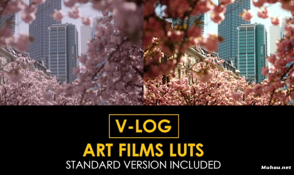 V-log艺术电影和标准颜色lut视频调色模板V-Log Art Film and Standard Color LUTs