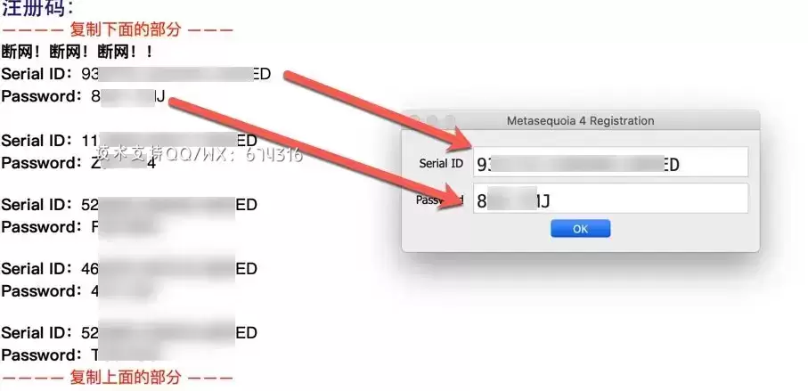 [MAC]Metasequoia for Mac(水杉3D建模器) v4.8.4激活版 支持Apple M1/M2 芯片