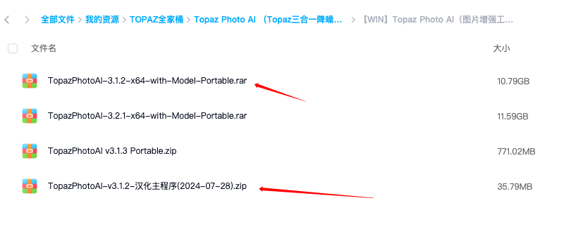 Topaz Photo AI（图片增强工具）破解版 V3.2.1 绿色便携版 (去升级集成全部离线模型完整版)