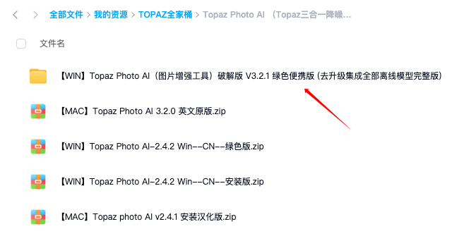 Topaz Photo AI（图片增强工具）破解版 V3.2.1 绿色便携版 (去升级集成全部离线模型完整版)