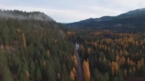 空中拍摄的道路在森林与山脉。视频下载Aerial shot of road in the est with a mountain range.