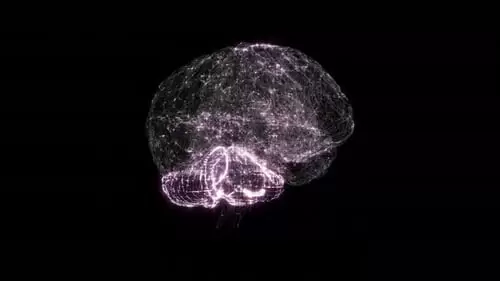 大脑科幻生物3d视频下载Brain