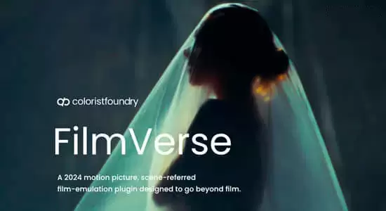 达芬奇插件-模拟复古电影胶片调色节点预设 Colorist Foundry FilmVerse Full Plugin