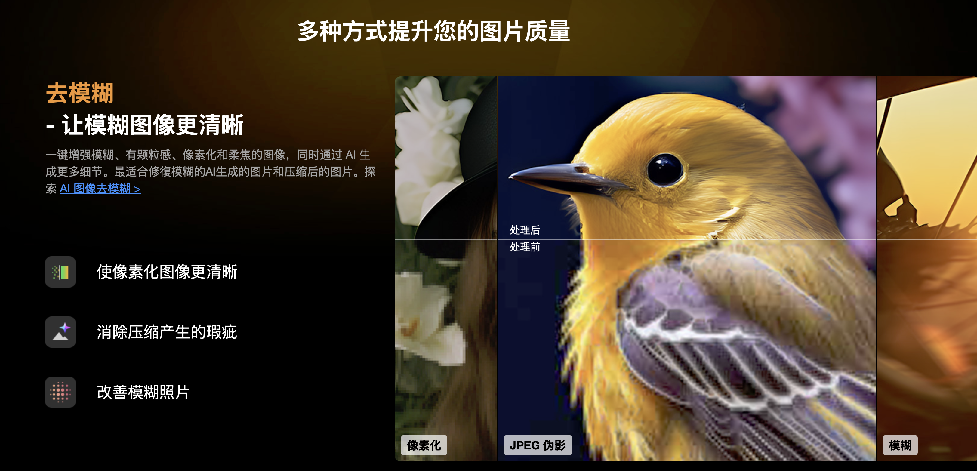 Aiarty Image Enhancer 3.0 中文版+模型打包下载，您的AI照片修复神器