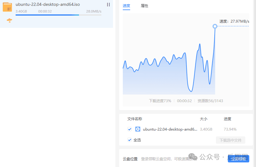 杂交版某雷下载，已解锁 1000MB/s