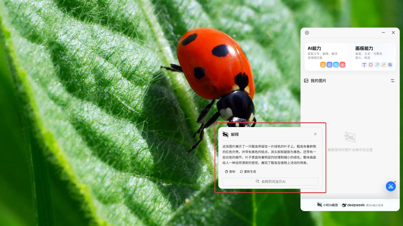 这款AI神器已接入DeepSee让你截图=翻译+解答+装X一条龙！