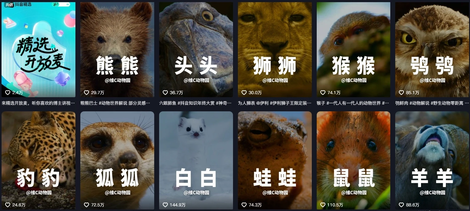 搞笑动物解说教程及2T动物纪录片素材