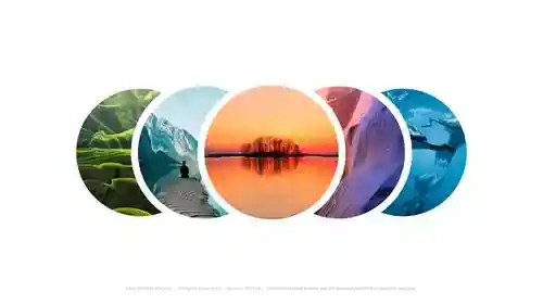 AE模板：照片标志展示开场 (Photo Logo Reveal Opener)