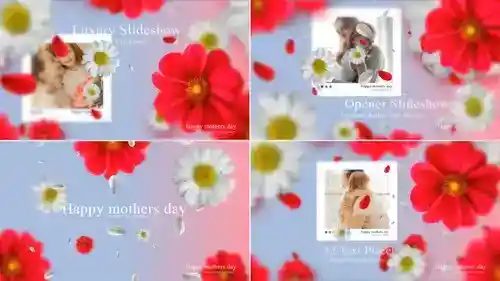 AE模板介绍：花艺绽放 · 多彩活动邀请函动画