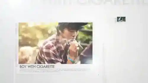 抽象记忆画廊 | AE媒体展示模板