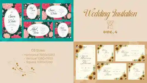 AE模板：印度风婚庆与纪念日动画模板套件