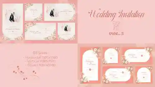 精美动态婚礼邀请函AE模板